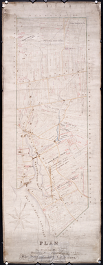 Plan of the Western Moriety of Township No. 29